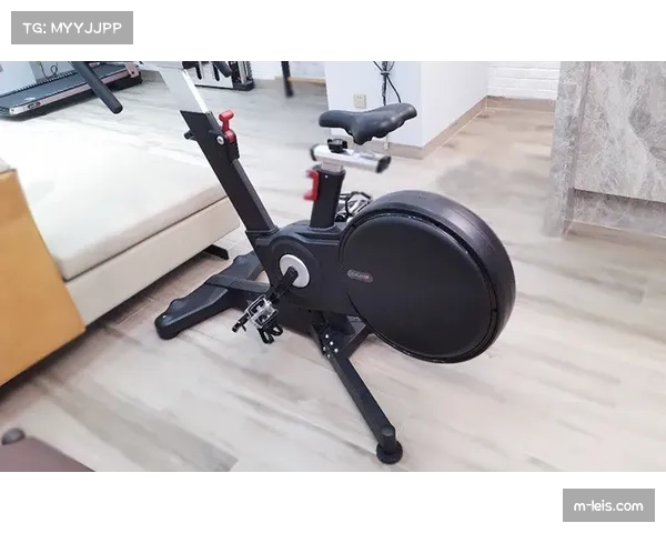 体育器械出口创新高 赛事装备定制化服务引领行业新增长